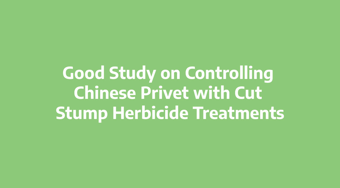 Good Study on Controlling Chinese Privet with Cut Stump Herbicide Treatments