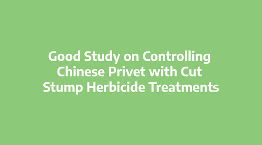 Good Study on Controlling Chinese Privet with Cut Stump Herbicide Treatments