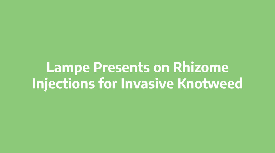 Lampe Presents on Rhizome Injections for Invasive Knotweed at Upper Midwest Invasive Species Conference in La Crosse, Wisconsin,