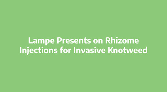 Lampe Presents on Rhizome Injections for Invasive Knotweed at Upper Midwest Invasive Species Conference in La Crosse, Wisconsin,