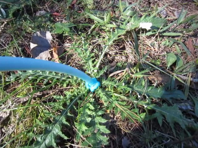 Killing Invasive Thistles and Other Weeds using Large Foam Herbicide Dispenser