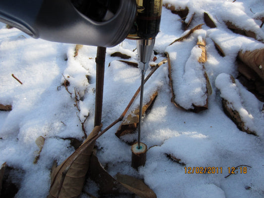 Rhizome Injections of Herbicide for Japanese Knotweed - Testing New Injector Prototype