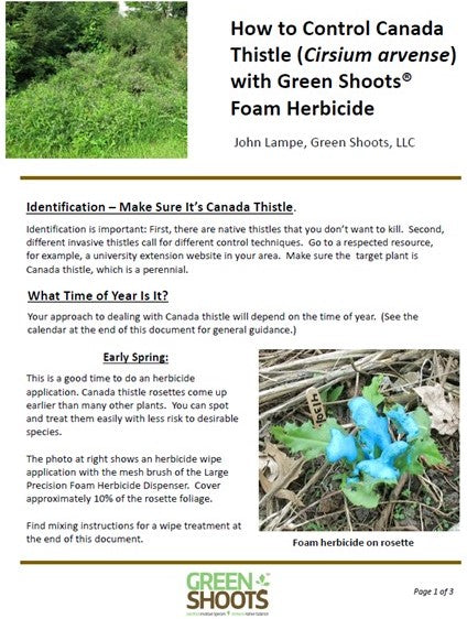 How to Control Canada Thistle - Seasonal Guide