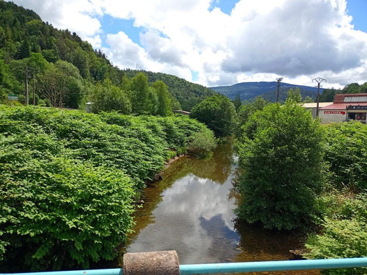 Legal Liability and Invasive Knotweed in the United States – Part 2 of 3