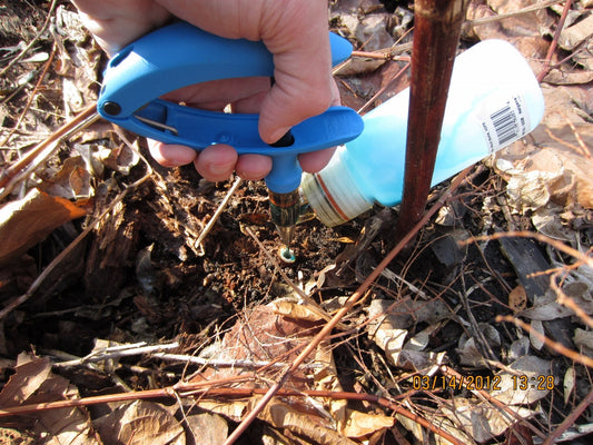 Rhizome Injector for Precision Treatments of Japanese Knotweed with Herbicide - Should Be Available for Sale this Summer