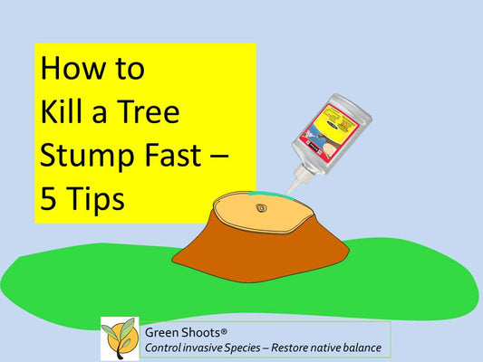 How to Kill a Tree Stump Fast - New Product and Video