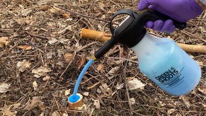 Applying blue herbicide foam to a cut tree using Green Shoots Large Dispenser