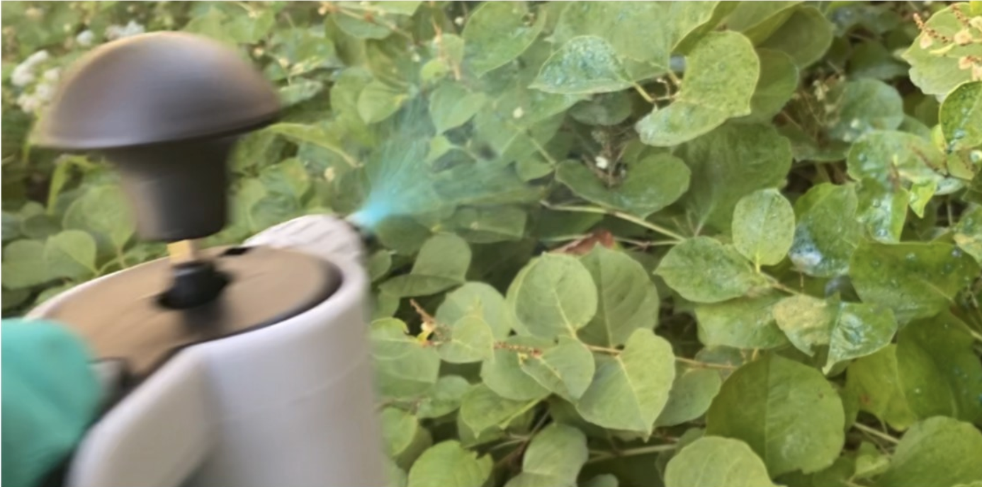 Sprayer Conversion Kit for Large Foam Dispenser Green Shoots Online