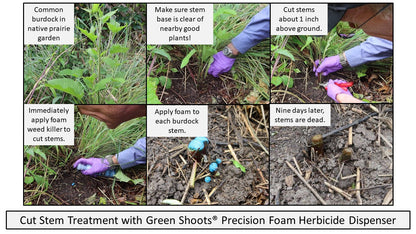 burdock herbicide Precision Foam Aquatic Weed Killer Kit
